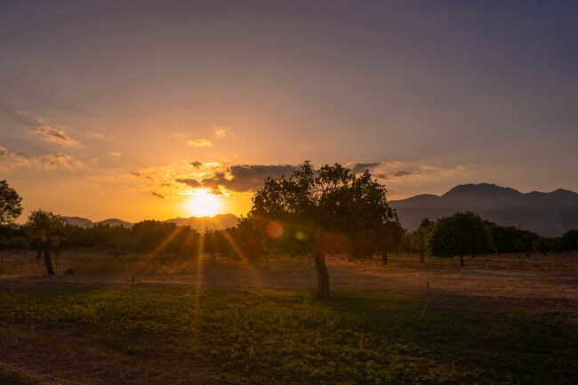 Finca Binissati Mallorca Hochzeit