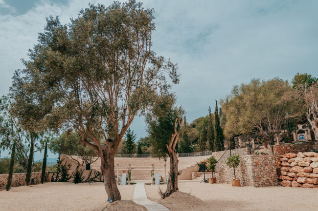 A spacious outdoor area with two large olive trees, a sandy ground, stone walls, potted plants, and a terraced seating area surrounded by greenery under a partly cloudy sky.