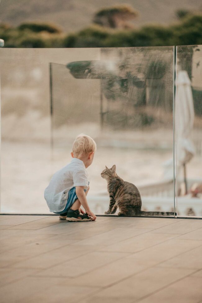 traeumeria son moll cala ratada team (6)