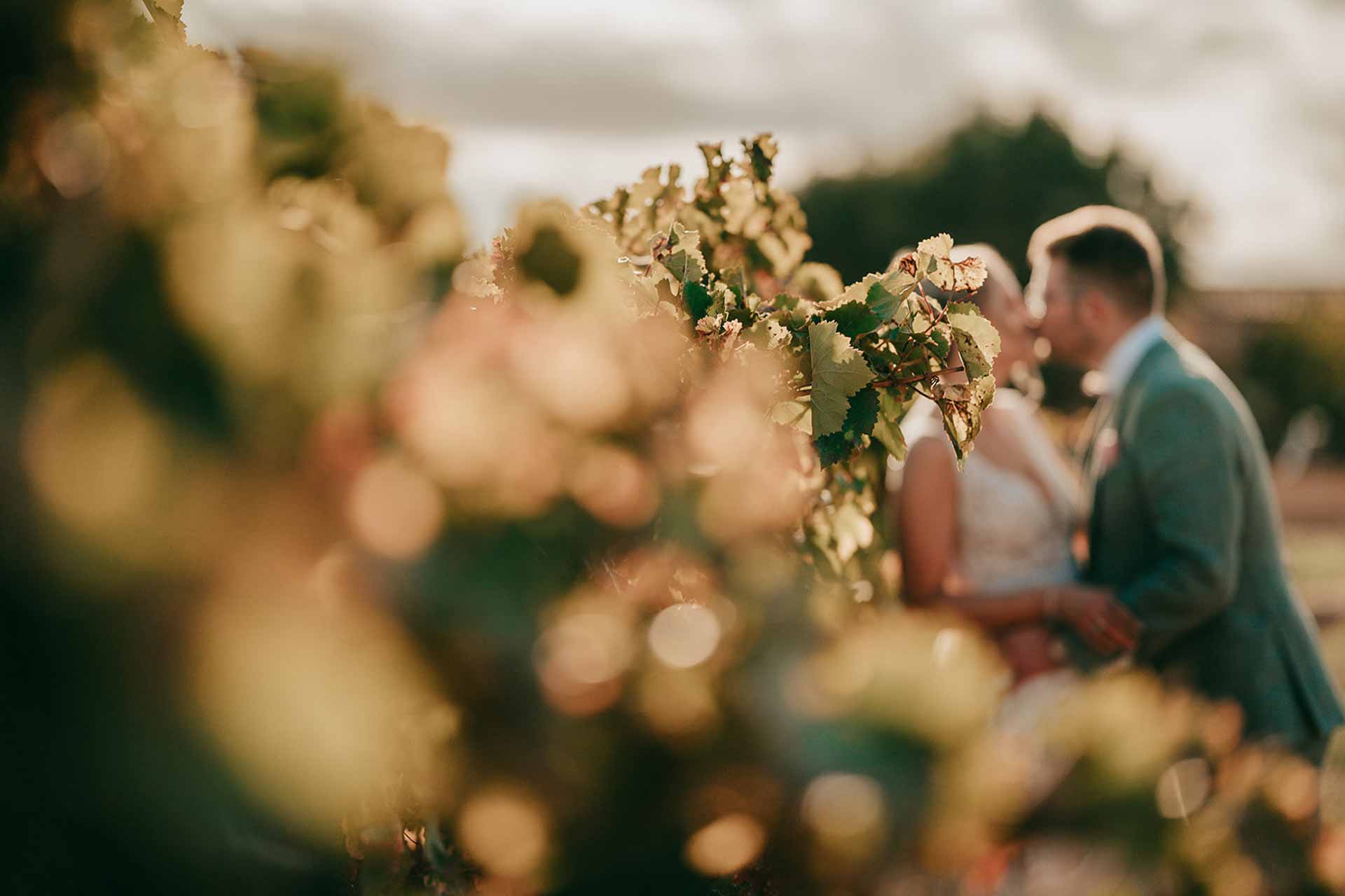 bodega hochzeit mallorca paket 16
